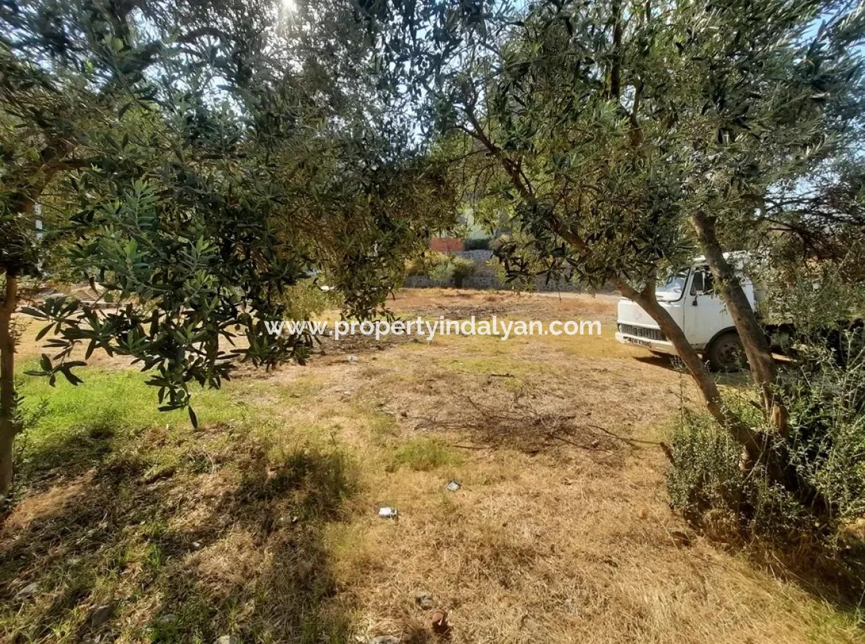 Schnäppchengrundstück Zum Verkauf In Ortaca