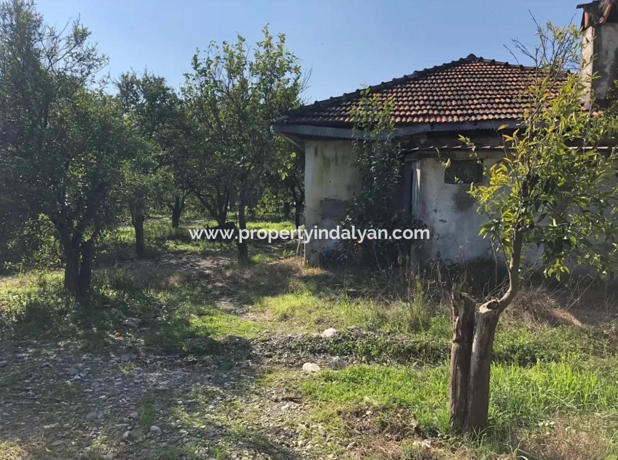 Land Und Altes Dorfhaus Zu Verkaufen In Köycee'iz Feuer