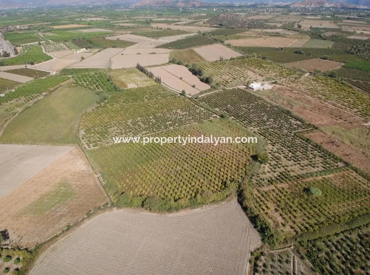 Freistehende Fruchtbare Schnäppchen Land Zum Verkauf In Ortaca Mergenli