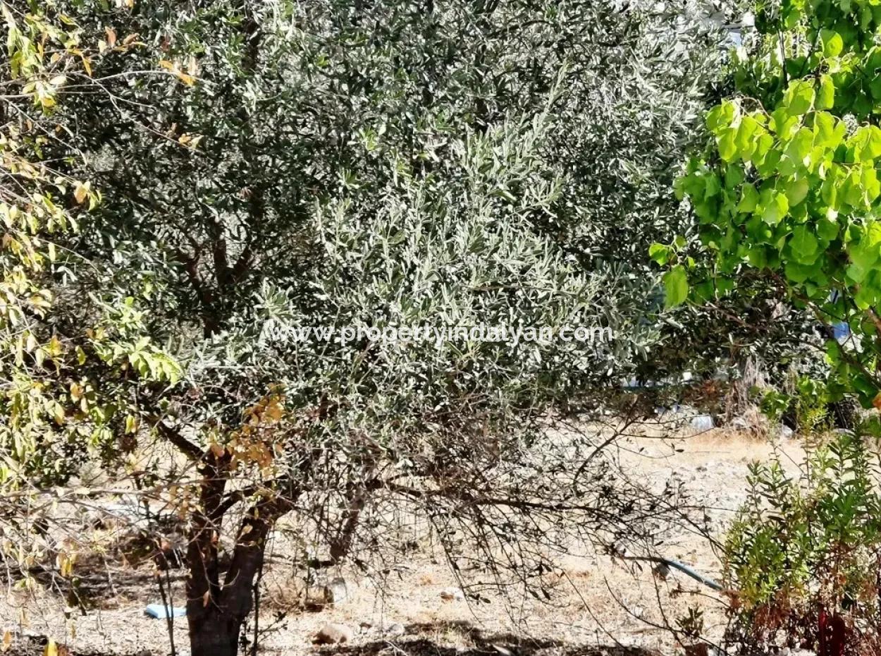 Fethiye Göcekte Freistehende Wohnung Zoning Schnäppchen Grundstück Zu Verkaufen