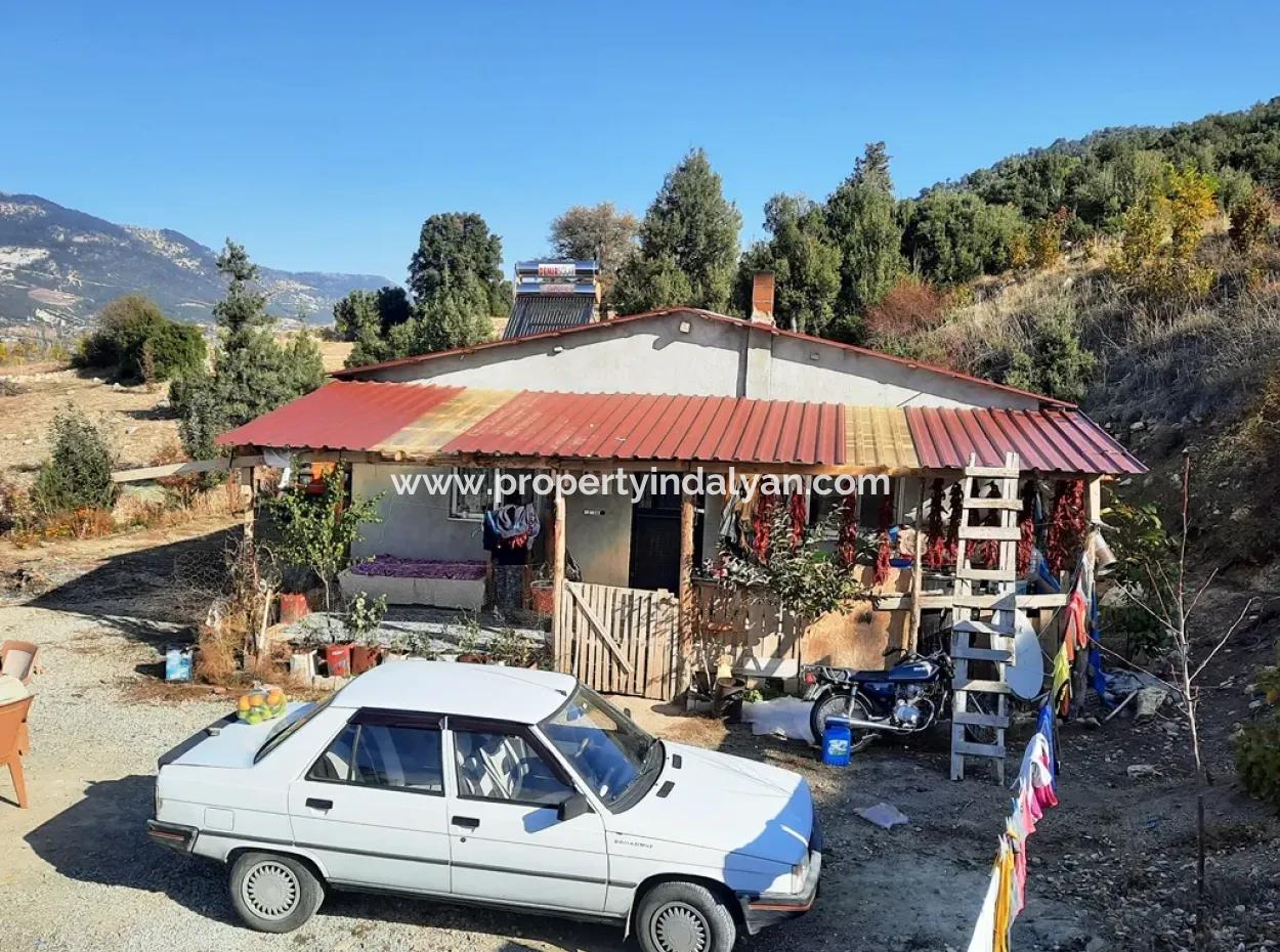 Denizli Çameli Kizilyaka Schmetterling Land Und Dorfhaus Mit Hundeblick Zum Verkauf