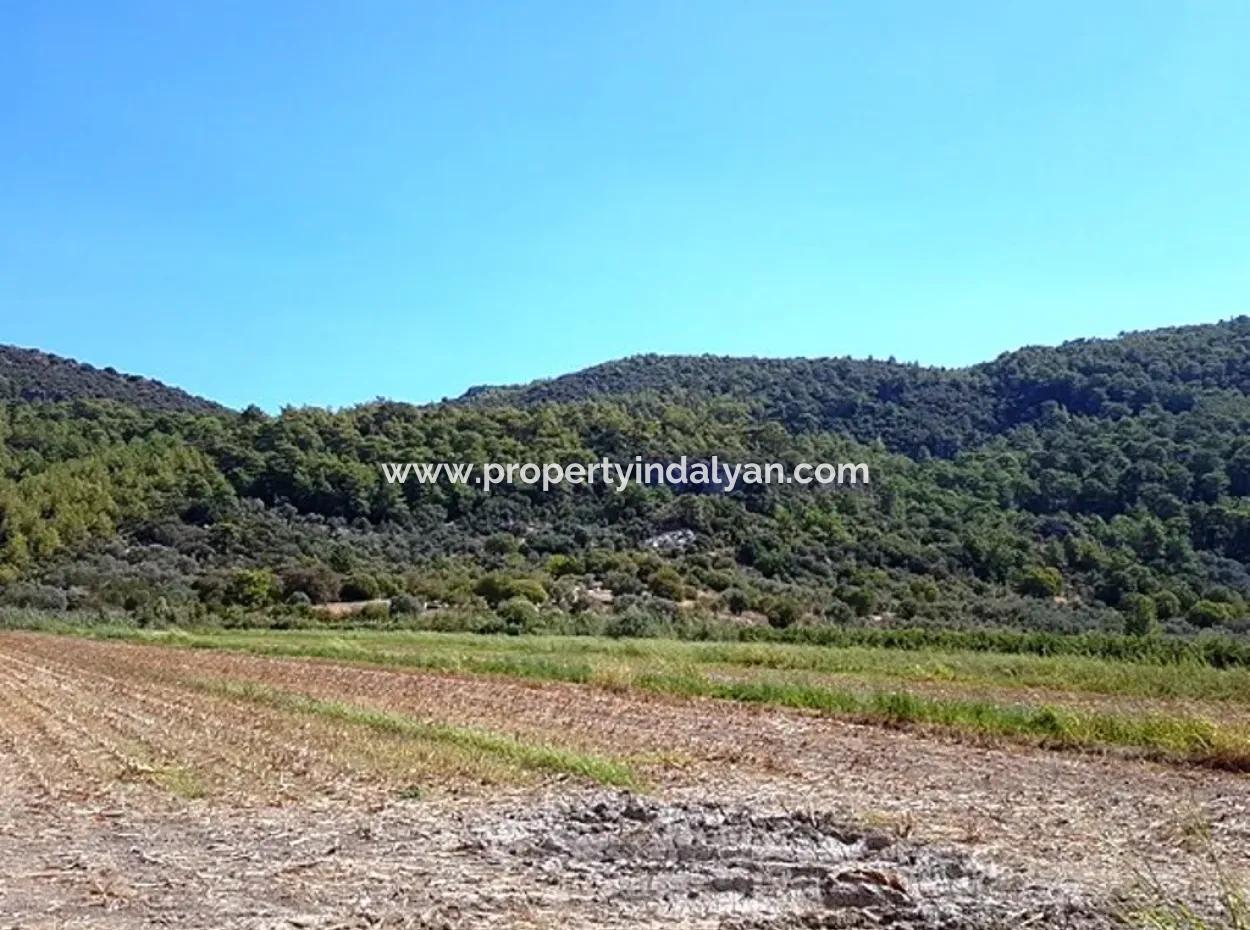 Fruchtbares Schnäppchenland Zum Verkauf In Muğla Ortaca Güzelyurt