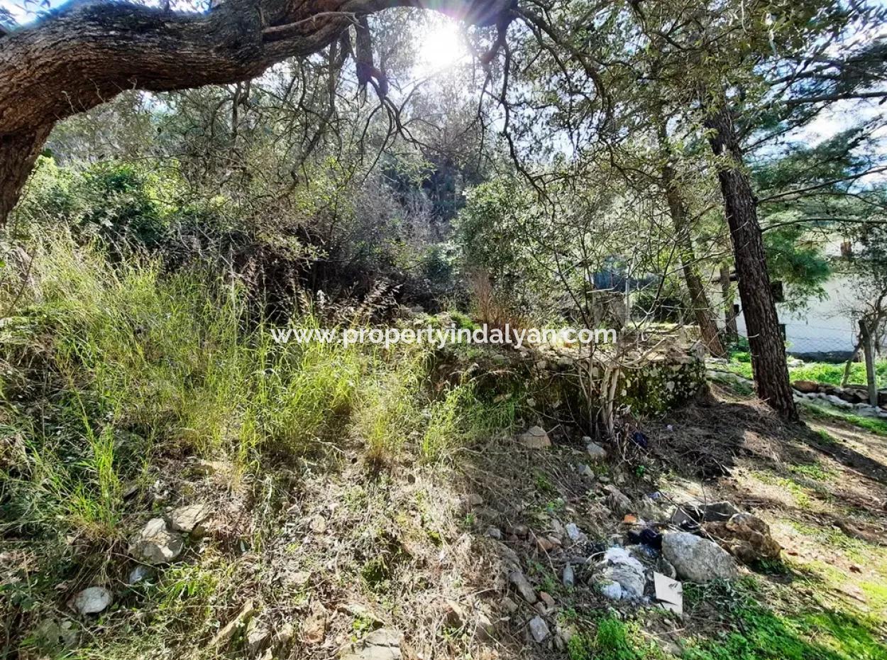 Ruiniertes Dorfhaus Aus Stein Zum Verkauf In Gökova Und Seinem Land
