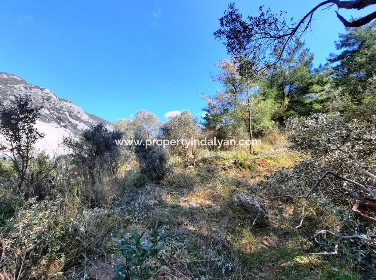 Ruiniertes Dorfhaus Aus Stein Zum Verkauf In Gökova Und Seinem Land