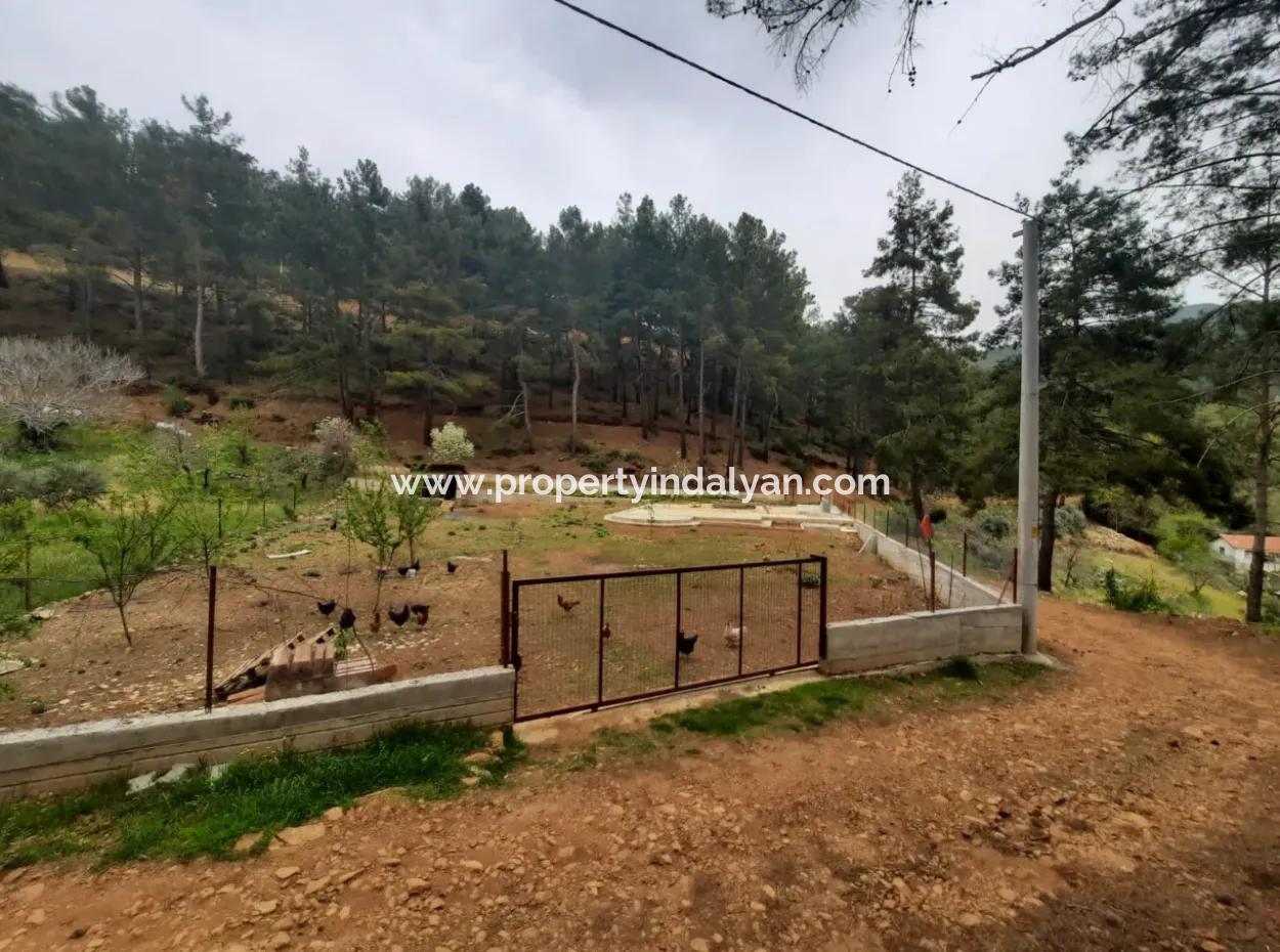 Köyce-Inz Agla Yayla Opportunity 1050 M2 Fläche Zu Verkaufen