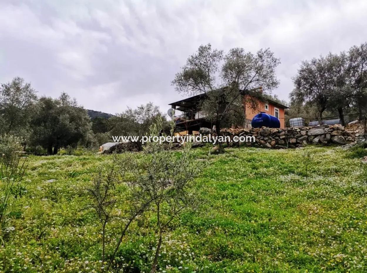 Freistehendes Dorfhaus In Der Natur Zu Verkaufen In Fethiye Gocek Ta'basi