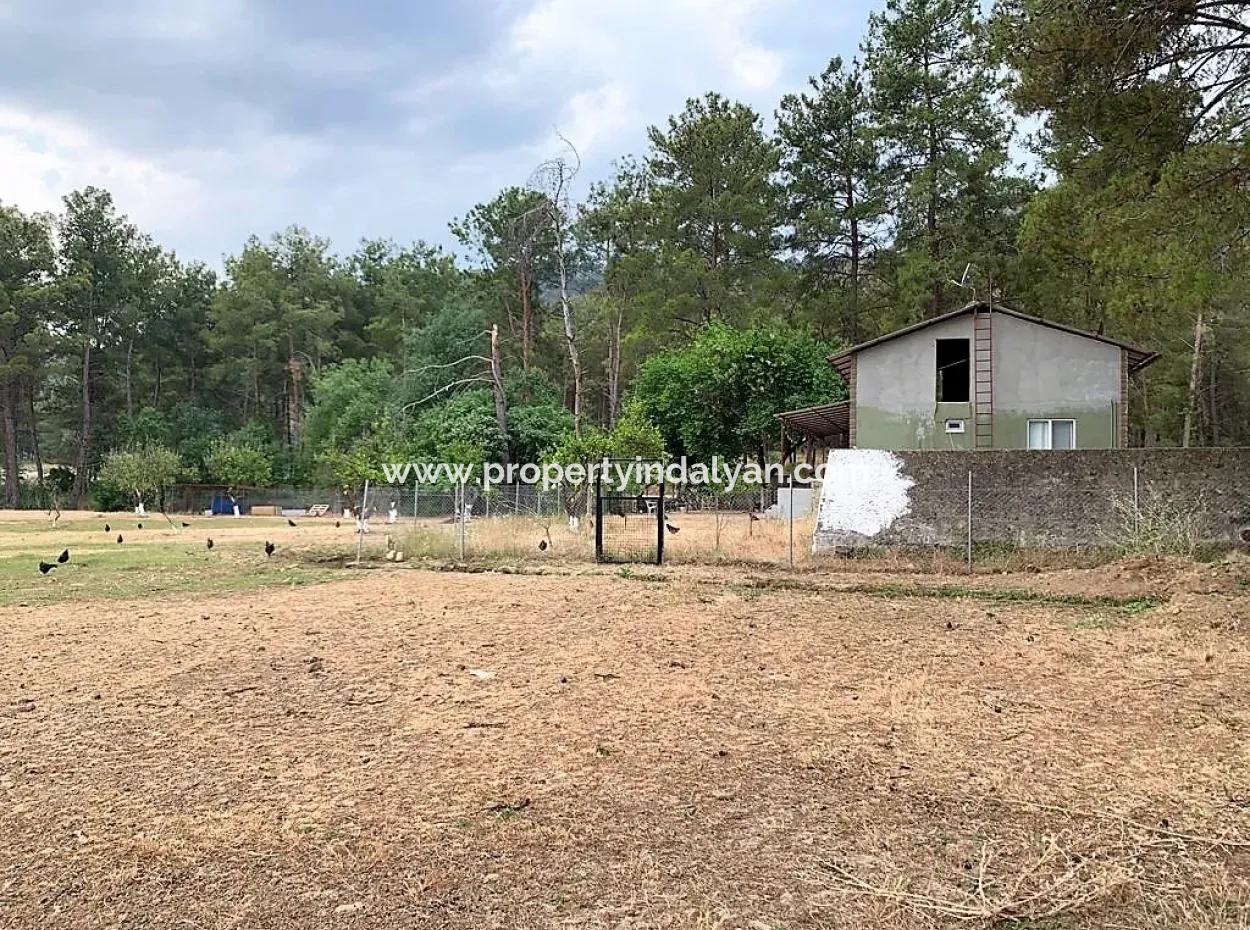 Teekante 10345 M2 Land Und Einfamilienhaus Zum Verkauf In Ortaca Cayli Pinienwald