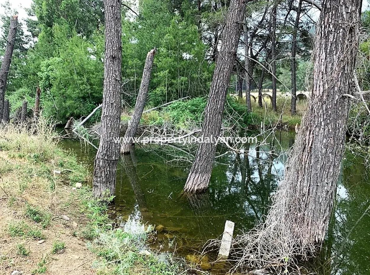 Teekante 10345 M2 Land Und Einfamilienhaus Zum Verkauf In Ortaca Cayli Pinienwald