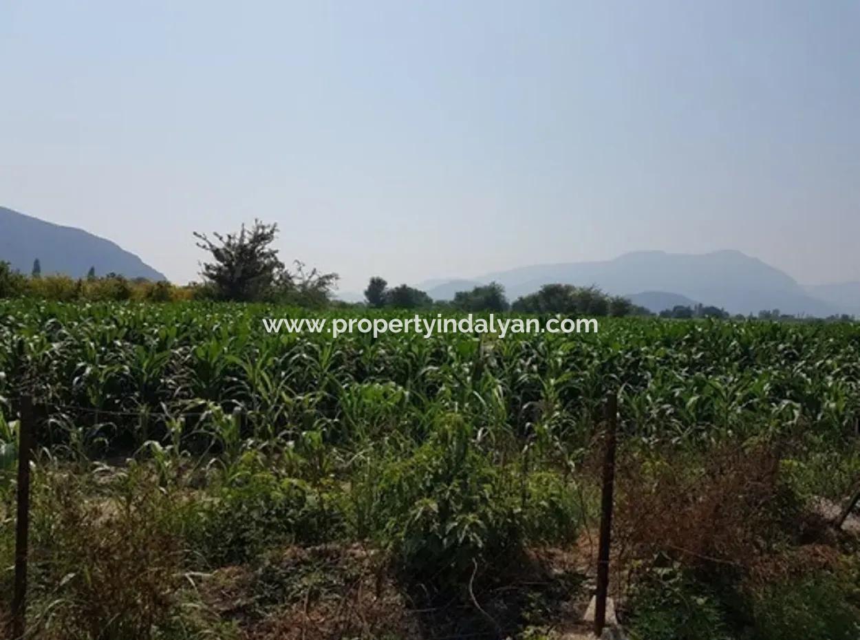 Freistehende 15000 M2 Fruchtbares Land Zum Verkauf In Mugla Ortaca Bogenschützen