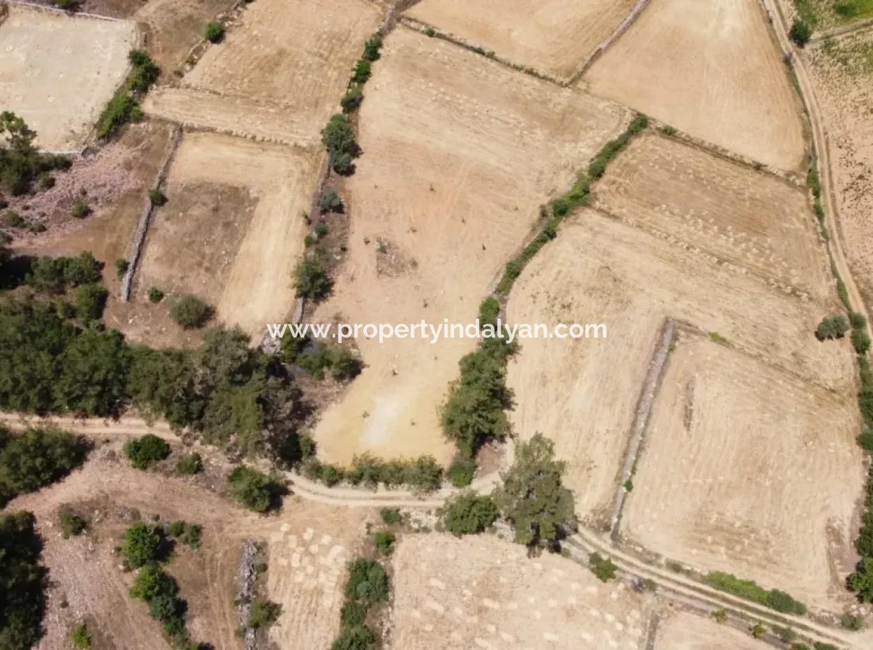 Mugla Menteşe Denizova 1869 M2 Schnäppchenfeld Zum Verkaufen