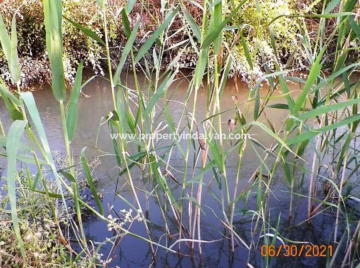 10 000 M2 Fruchtbares Land Zum Verkauf In Mugla Ortaca Mergenli