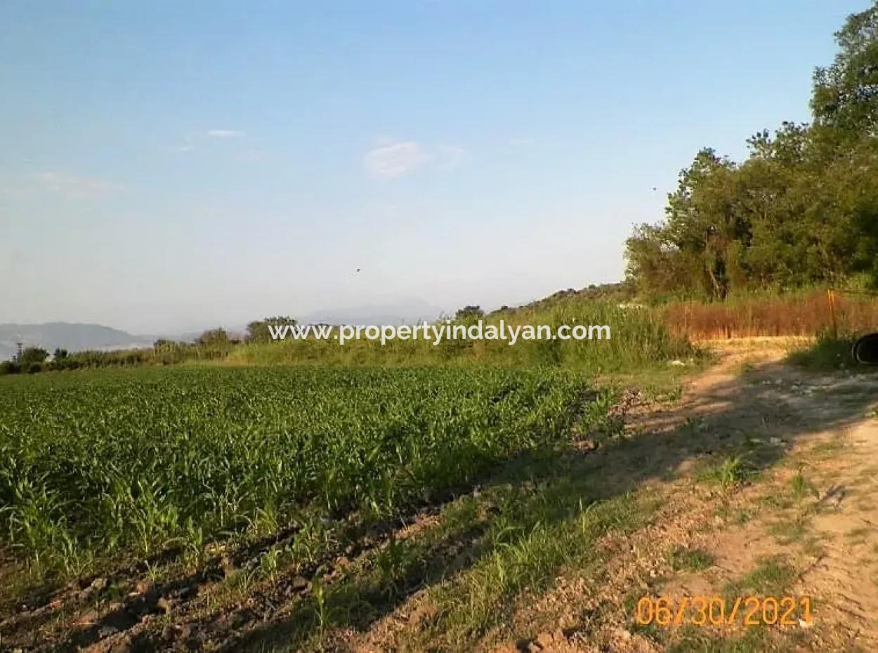 10 000 M2 Fruchtbares Land Zum Verkauf In Mugla Ortaca Mergenli