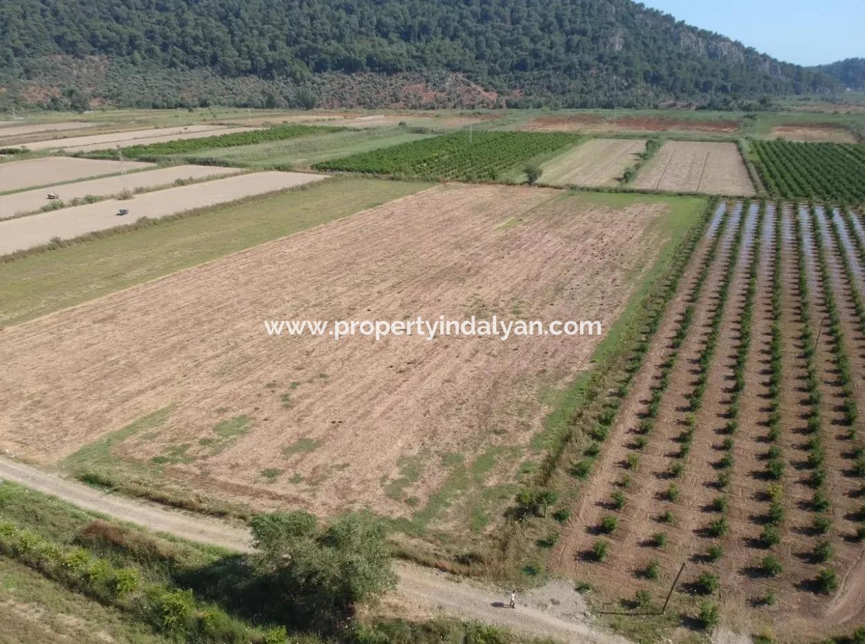 Für Verkauf Land Guzelyurt Ta Oriya, Schnäppchen 9726 M2