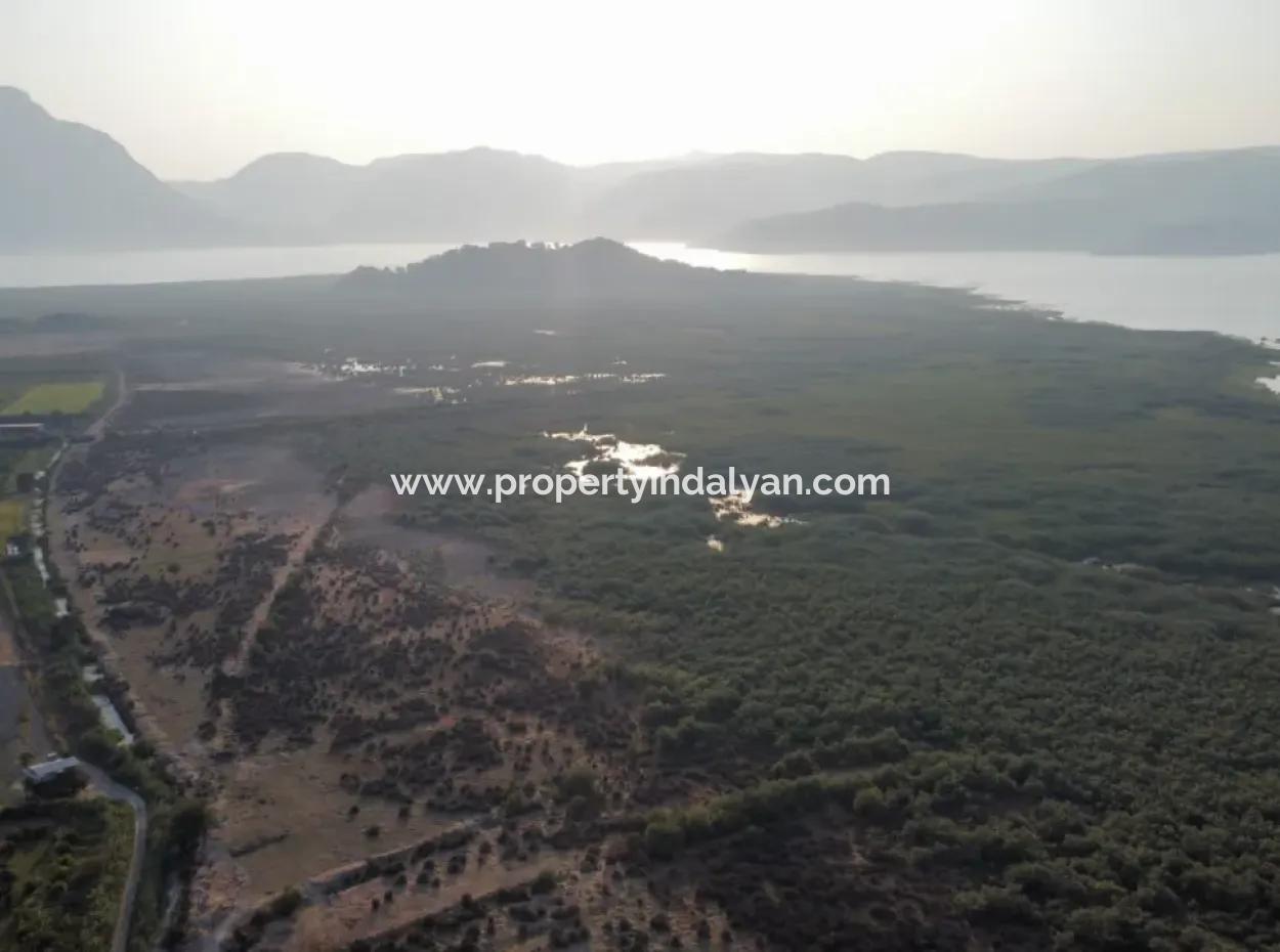 Granatapfelgarten Zum Verkauf In Mugla Ortaca Tepearasi