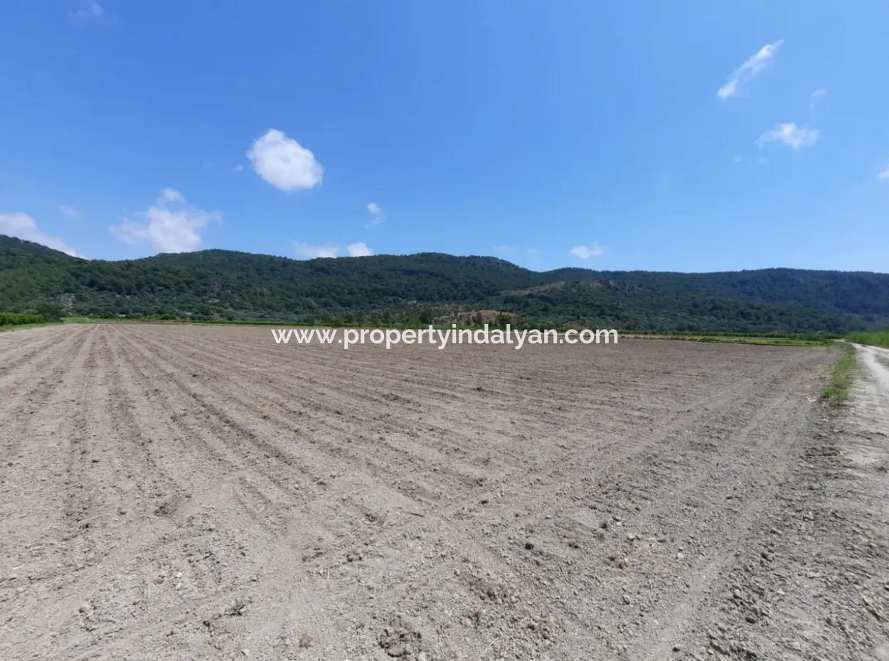 Fruchtbares Land Zu Vermieten In Ortaca Güzelyurt