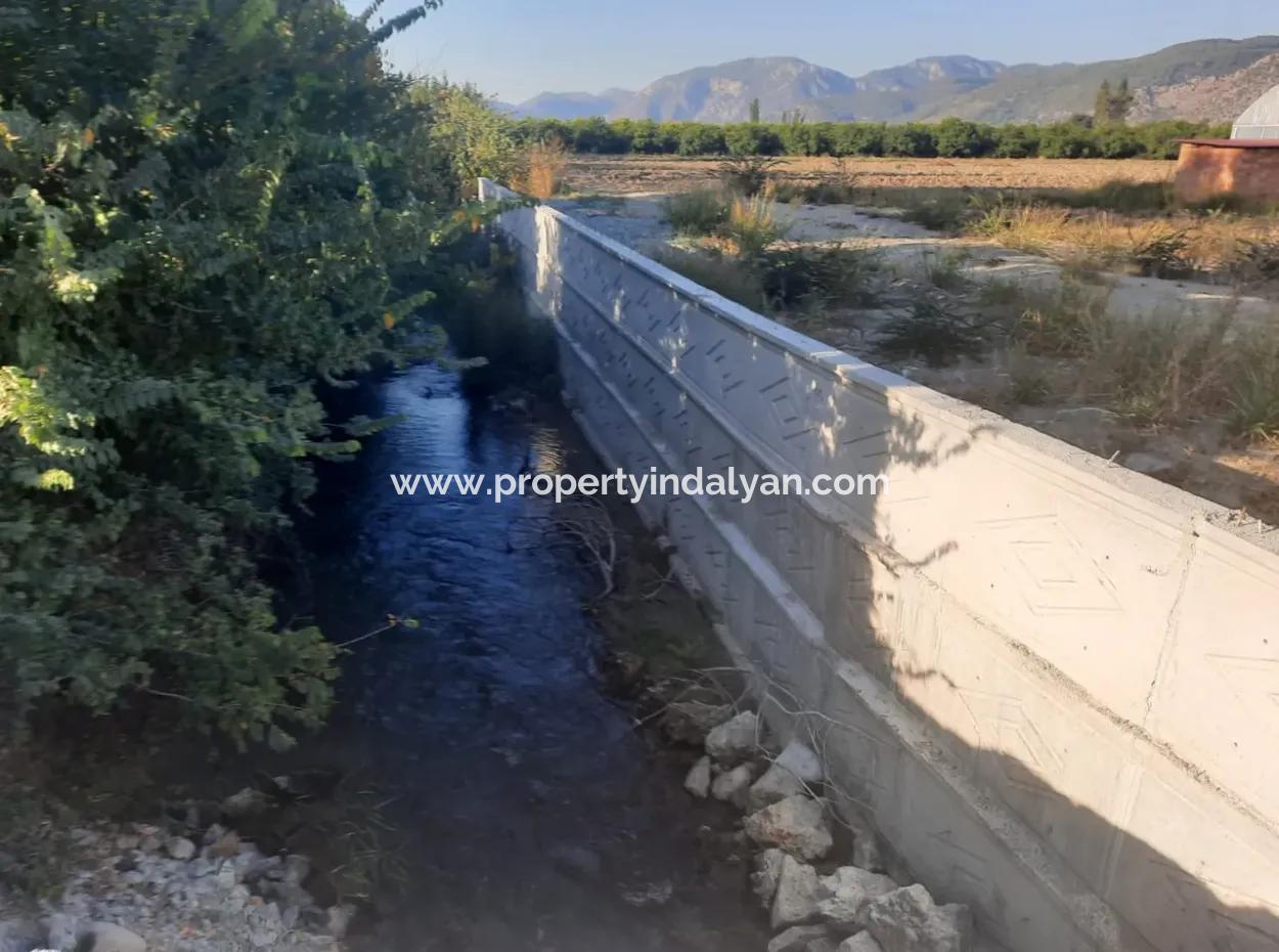 Mugla Ortaca 4123 M2 Feld Und Pitaya Fruchtgewächshaus Zum Verkauf