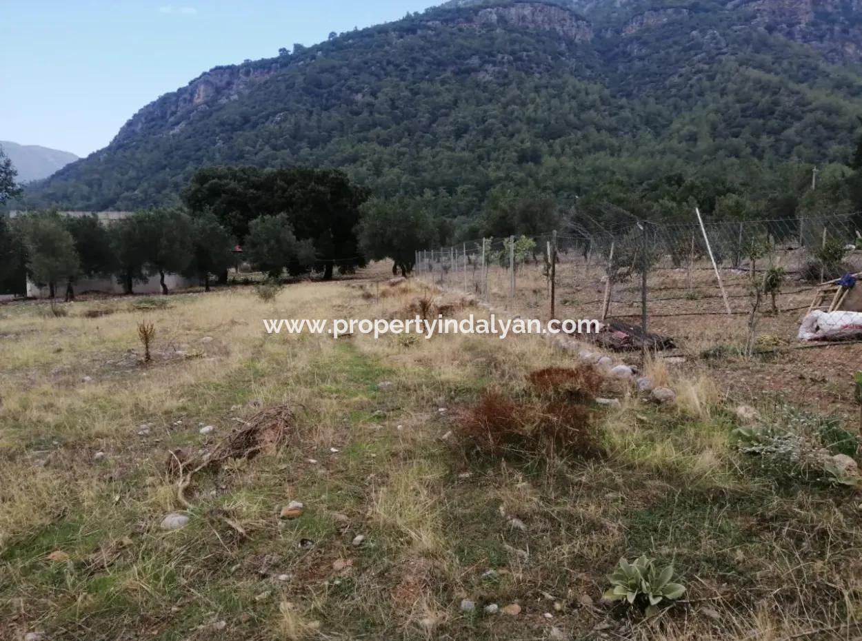 2788 M2 Feld Mit Seeblick Zu Verkaufen In Mugla Köyceğiz Zeytinalanı
