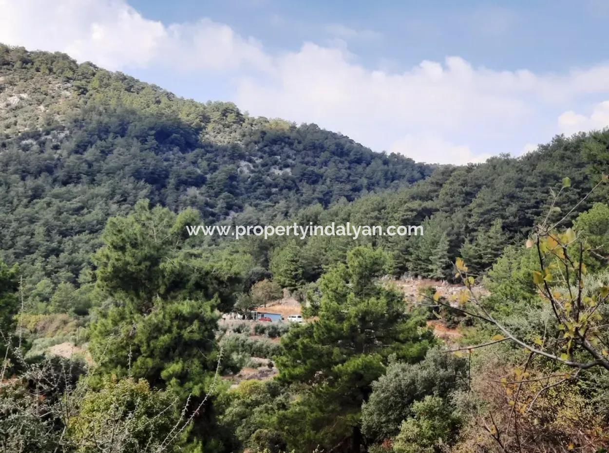 Mugla Dalyan Gökbel 320 M2 Schnäppchengrundstück Zum Verkauf