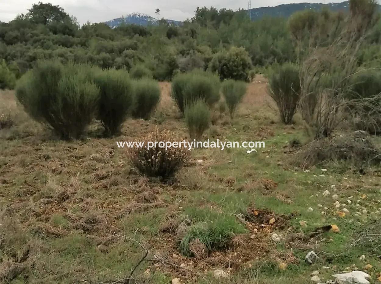 30949 M2 Fruchtbares Feld Zu Verkaufen In Mugla Dalaman Gürleyik
