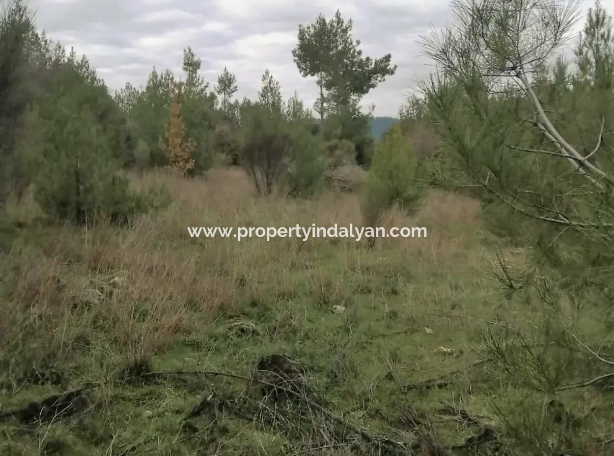 30949 M2 Fruchtbares Feld Zu Verkaufen In Mugla Dalaman Gürleyik