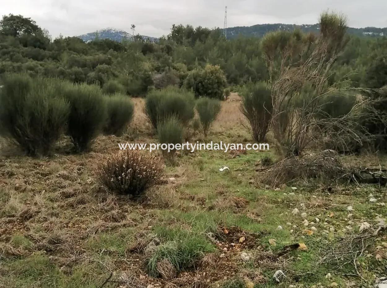 30949 M2 Fruchtbares Feld Zu Verkaufen In Mugla Dalaman Gürleyik