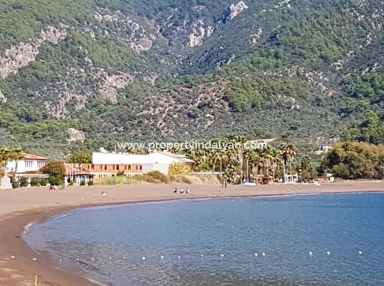 Olivenhain Mit Meerblick Zum Verkauf In Köyceğiz Ekincik