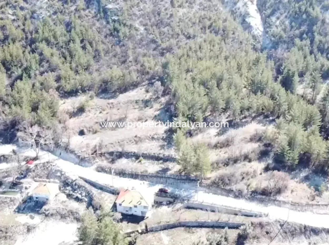 Denizli Çameli Ericek 5058 M2 Asphaltrandfeld Zu Verkaufen