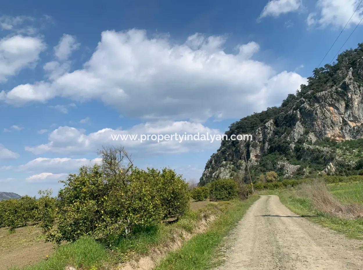 Mugla Dalyan Marmarlı 1500 M2 Grundstück Zum Verkauf