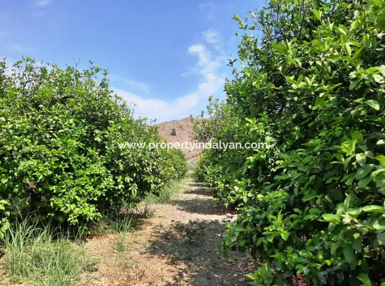 Dorfhaus Zum Verkauf In Ortaca Akıncıda Auf Einem Grundstück Von 2500 M2