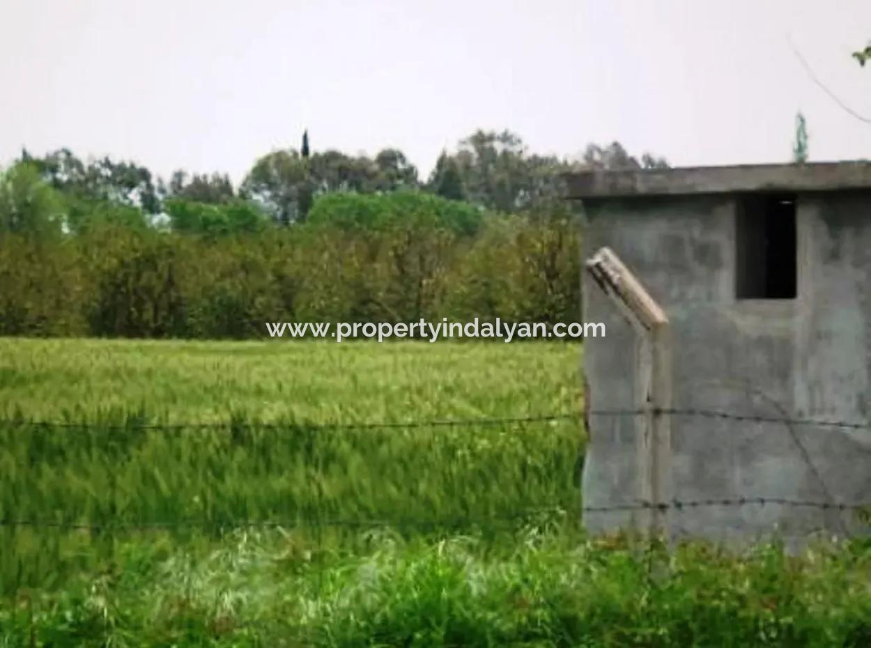 8 000 M2 Fruchtbares Land Zum Verkauf In Muğla Ortaca Fevziye