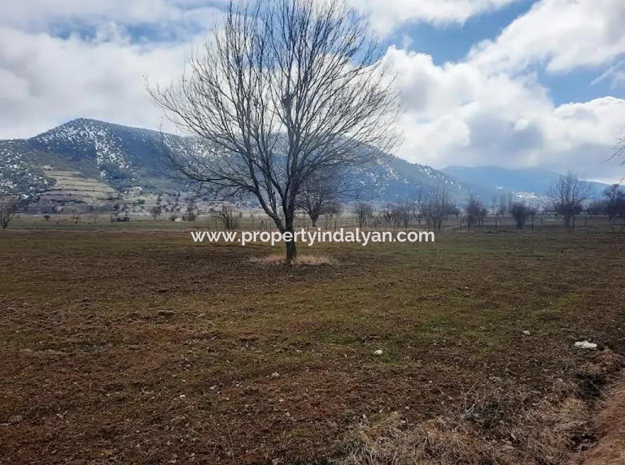 Denizli Çameli Belevi De 358 M2 Freistehende Urkunde Feld Hobbygarten Zum Verkauf