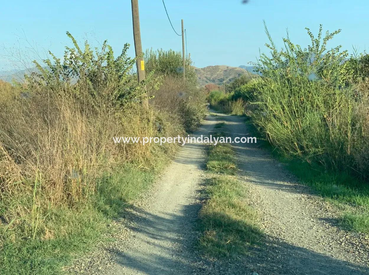 3000 M2 Von 28.394 M2 In Ortaca Güzelyurt Feld Zu Verkaufen