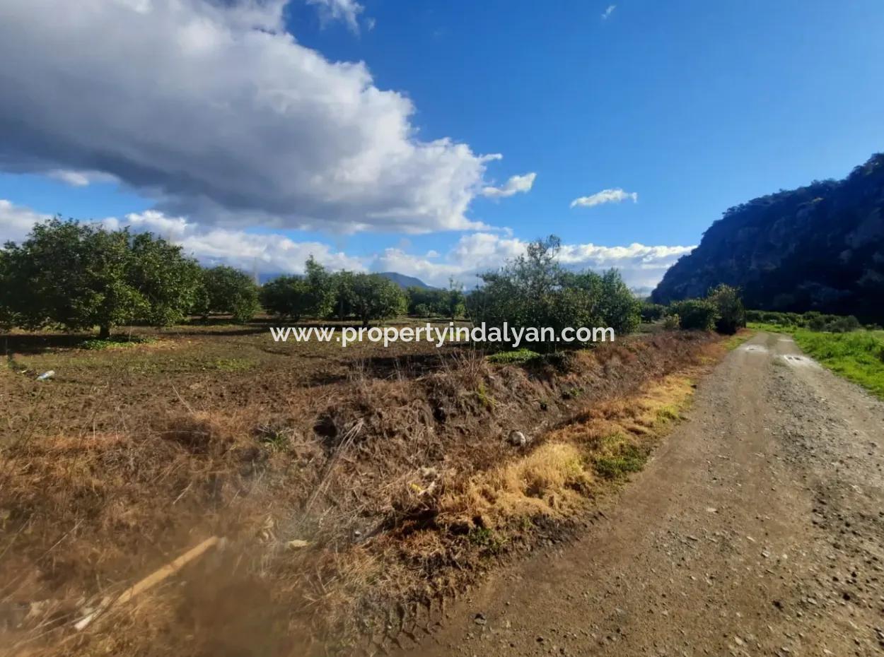 20.000 M2 In Muğla Ortaca Okçular Marmarlı, Grundstück Zum Verkauf Im Bebauungsplan