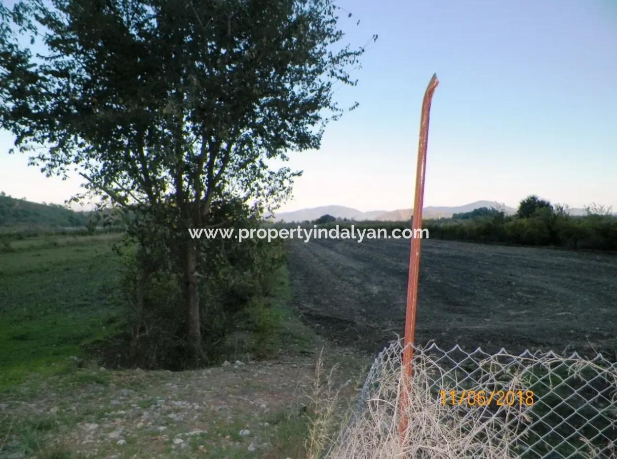 Bauernhof Zum Verkauf In Oriya Yeşilyurt