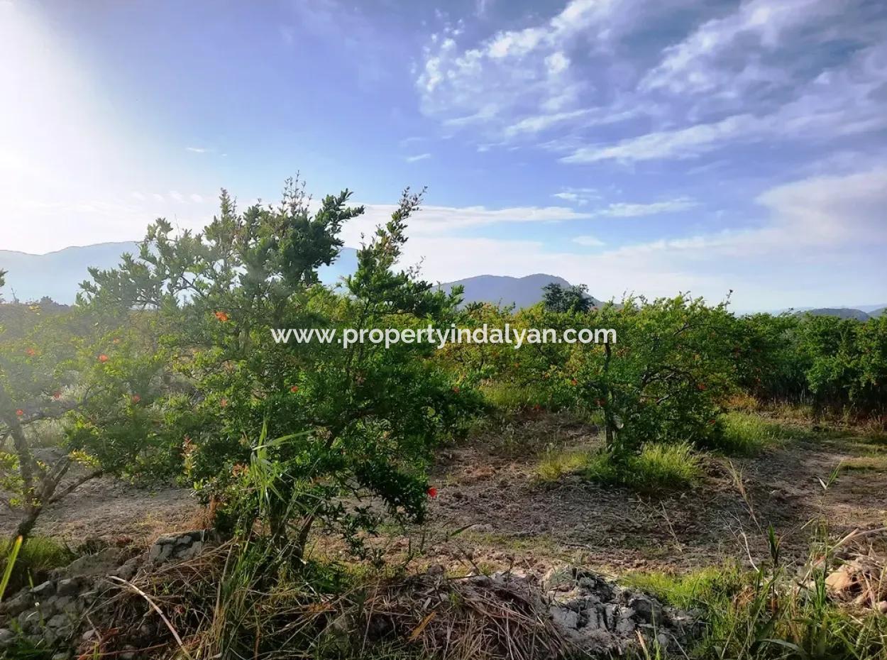 For Sale Big Land In Dalyan 24 000 M2