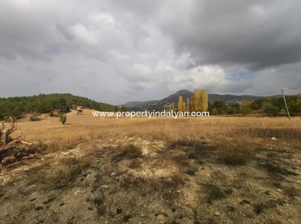 6 230 M2 Fruchtbares Land Zur Miete In Çameli Cumaalanı
