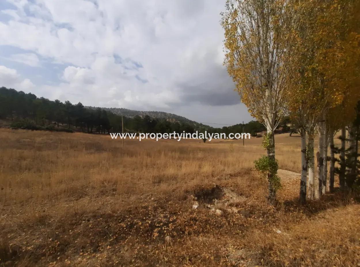 6 230 M2 Fruchtbares Land Zur Miete In Çameli Cumaalanı