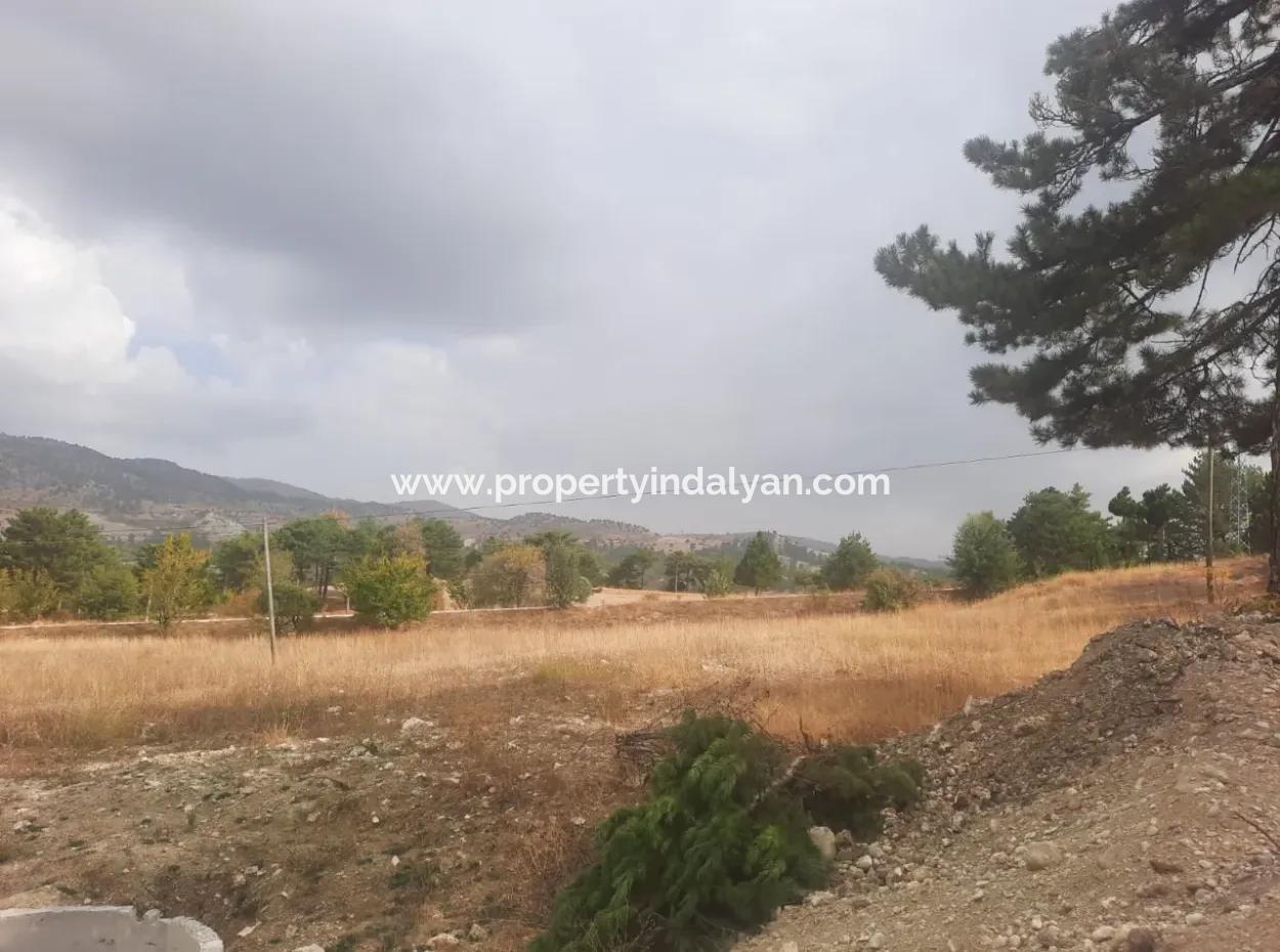6 230 M2 Fruchtbares Land Zur Miete In Çameli Cumaalanı