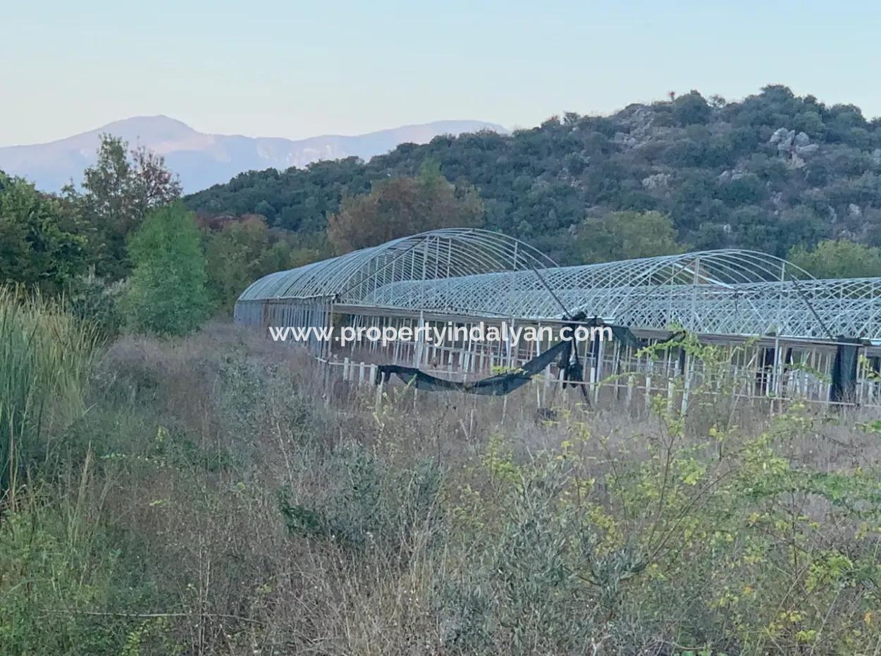26.200 M2 Freistehendes Feld Und 3.000 M2 Zum Verkauf In Ortaca Güzelyurt