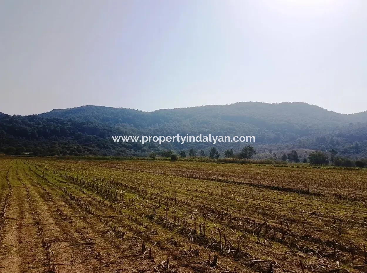 Region Des Fruchtbaren Landes Vermietung