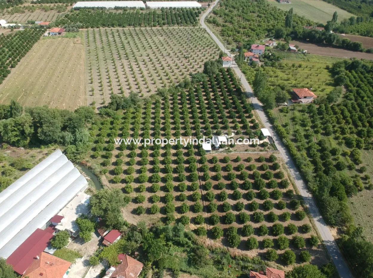 9 494 M2 Grundstück Geeignet Für Investitionen Mit 250M2 Baurecht In Ortaca Ekşiliyurt Zu Verkaufen