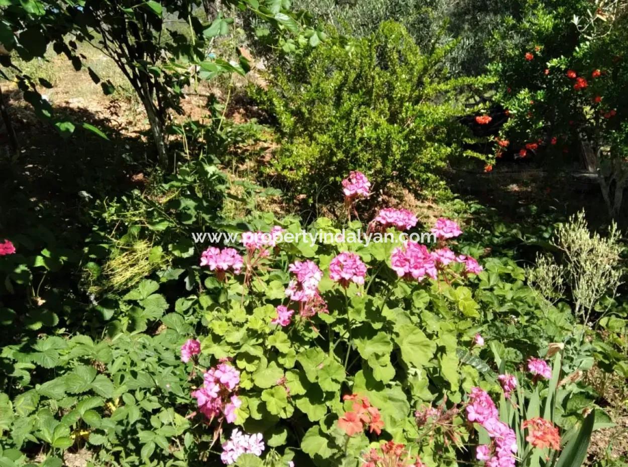 Ortaca Cumhuriyet Mah. 3-Stöckiges Haus Komplett Zum Verkauf Auf 357 M2 Grundstück