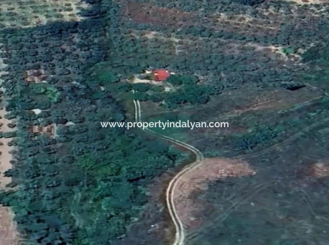 6350 M2 Feld Zum Verkauf In Muğla Menteşe Kafaca