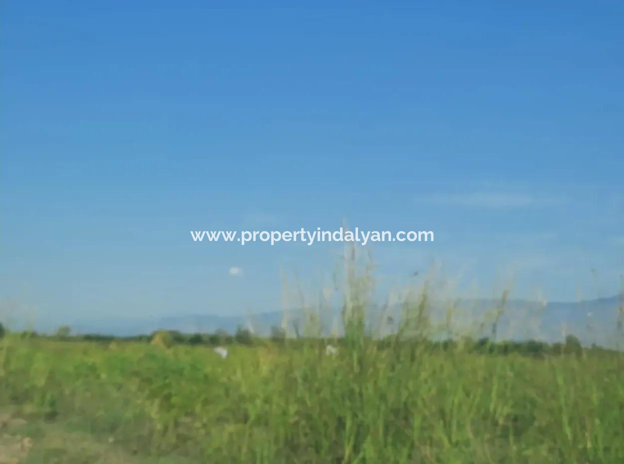 2 650 M2 Fruchtbares Land Zum Verkauf In Köyceğiz Poplar