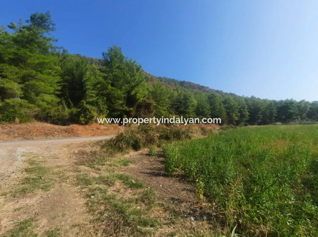 Muğla Ortaca Ekşiliyurt 8.000 M2 Fruchtbares Land Zum Verkauf