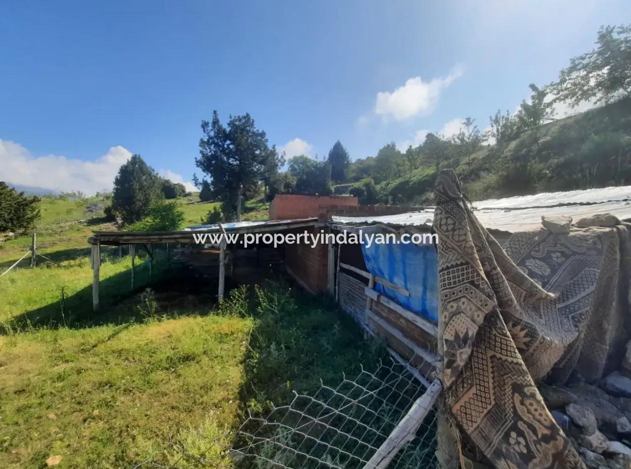 5 000 M2 Grundstück In Çameli Kızılyaka 2 In 1 Einfamilienhaus Und Scheune Zu Vermieten