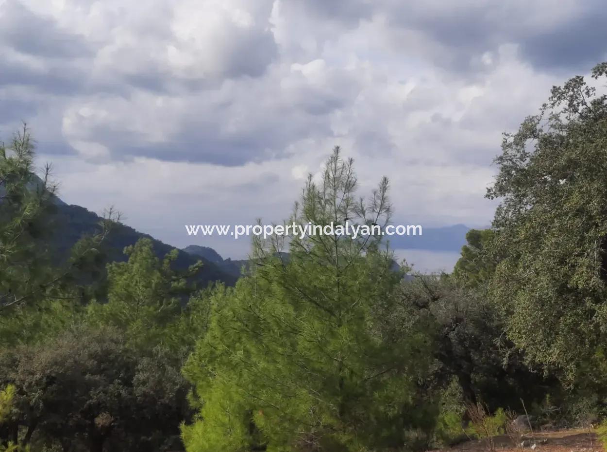 Muğla Dalyan Gökbelde 7 270 M2 Freistehende Eigentumsurkunde Land Mit Meer- Und Seeblick Zum Verkauf