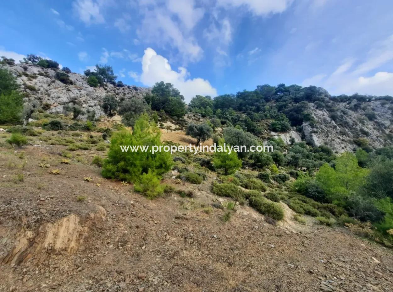 Muğla Dalyan Gökbelde 7 270 M2 Freistehende Eigentumsurkunde Land Mit Meer- Und Seeblick Zum Verkauf