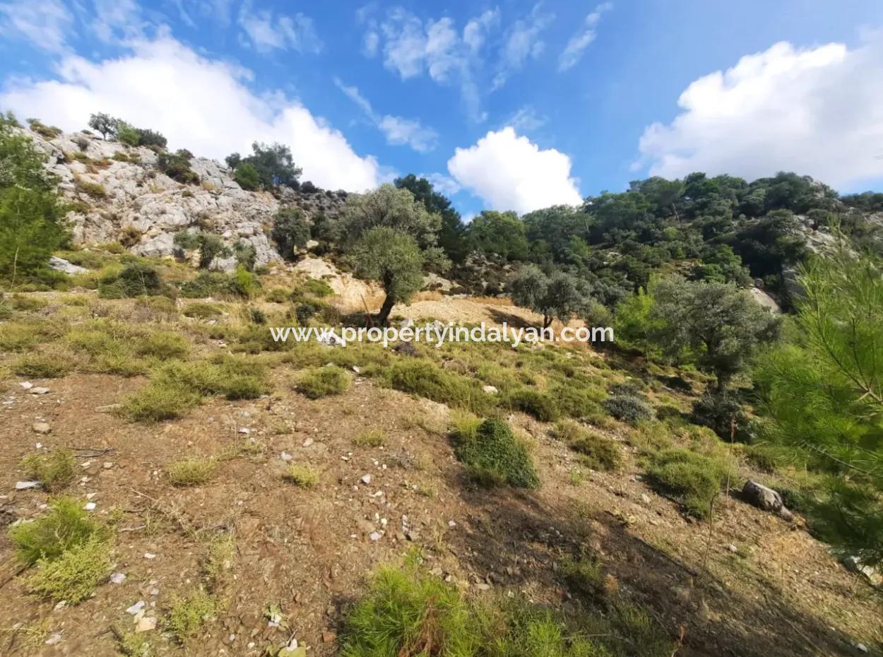 Muğla Dalyan Gökbelde 7 270 M2 Freistehende Eigentumsurkunde Land Mit Meer- Und Seeblick Zum Verkauf