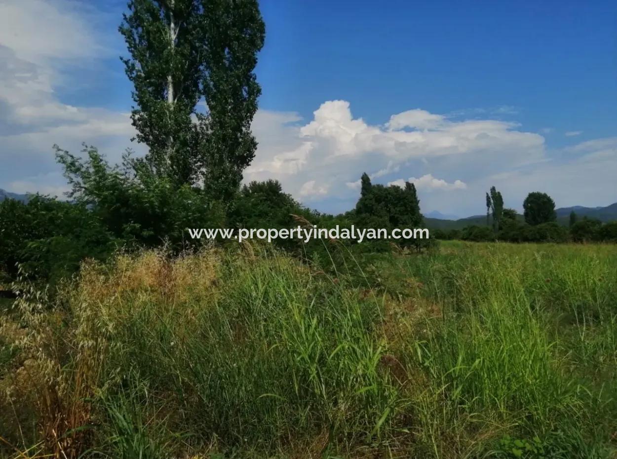 Bauernhof Zum Verkauf In Köyceğiz Beyoba Schnäppchen